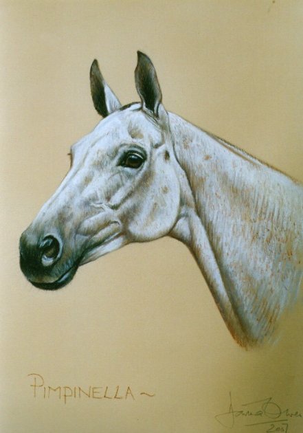 Horse Portrait. Pony Painting. Horse Picture