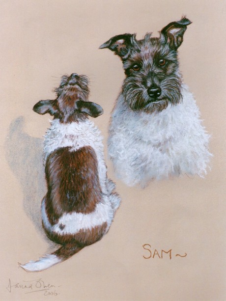 Dog Portrait. Dog Painting. Dog Picture